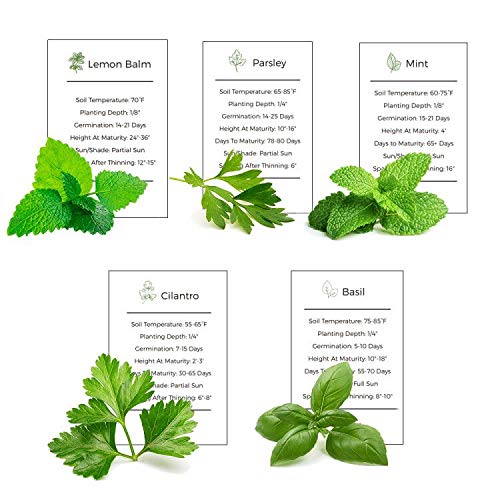 Basil, Mint, Parsley, Cilantro & Lemon-balm