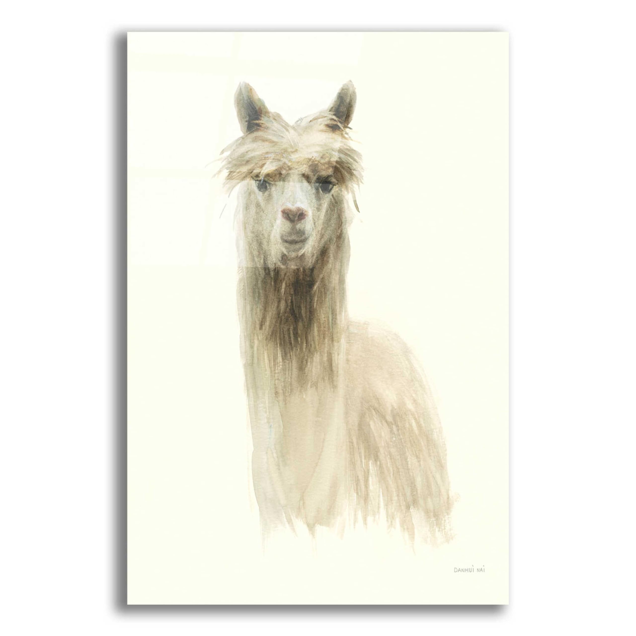 Danhui Nai Classic Llamas I Acrylic Glass Wall Art - 16x24 Inches Modern Home Decor for Living Room, Bedroom & Office