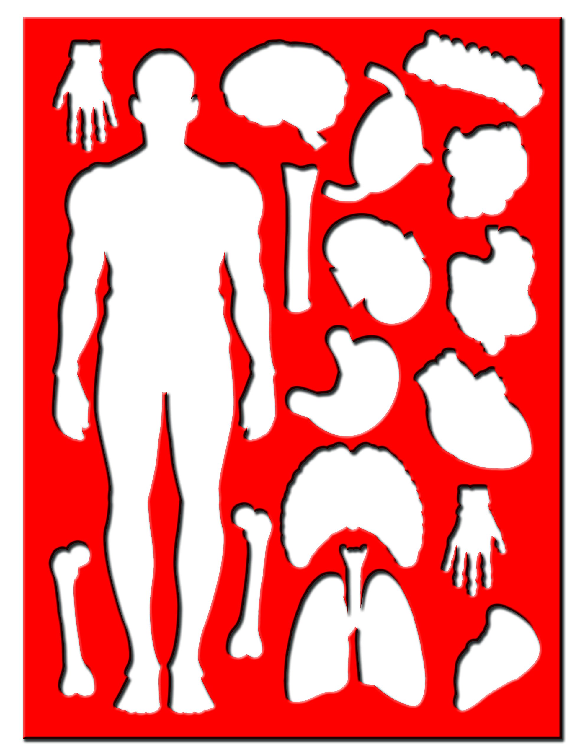 Human Body Educational Box Set - Interactive Learning Kit for Kids | Explore Anatomy & Biology | Perfect for Homeschooling & Classroom Science Activities