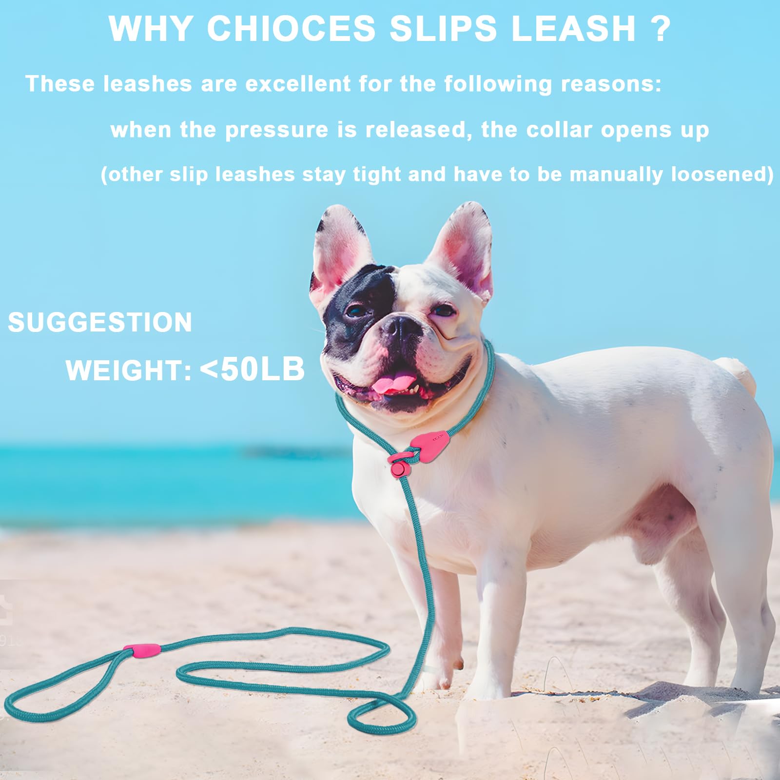 No Pull Slip Lead Dog Leash - 6FT Strong Nylon Training Leash for Dogs & Puppies with 6 Color Options (Green) - Perfect for Walking, Training & Outdoor Adventures