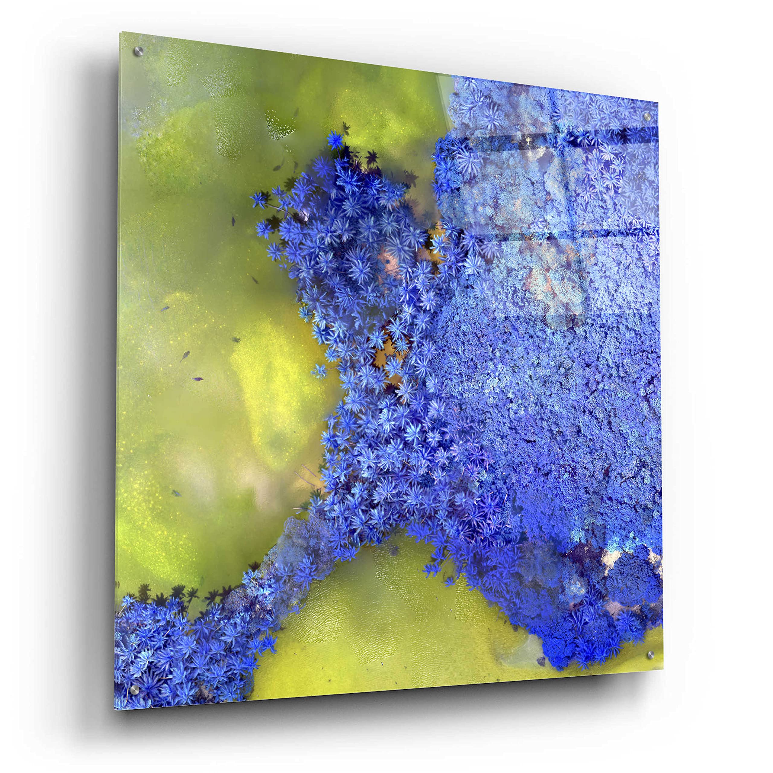 Epic Art 'Earth as Art: Palmyra' - 36x36 Inch Acrylic Glass Wall Decor - Modern Home & Office Wall Art - Perfect for Living Room, Bedroom or Office Decor