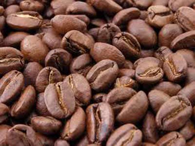Premium El Salvador Pacamara Arabica Coffee Beans - Freshly Roasted, Reserve Selection (5 lbs) - Best for Home Brewing, Office & Gifting