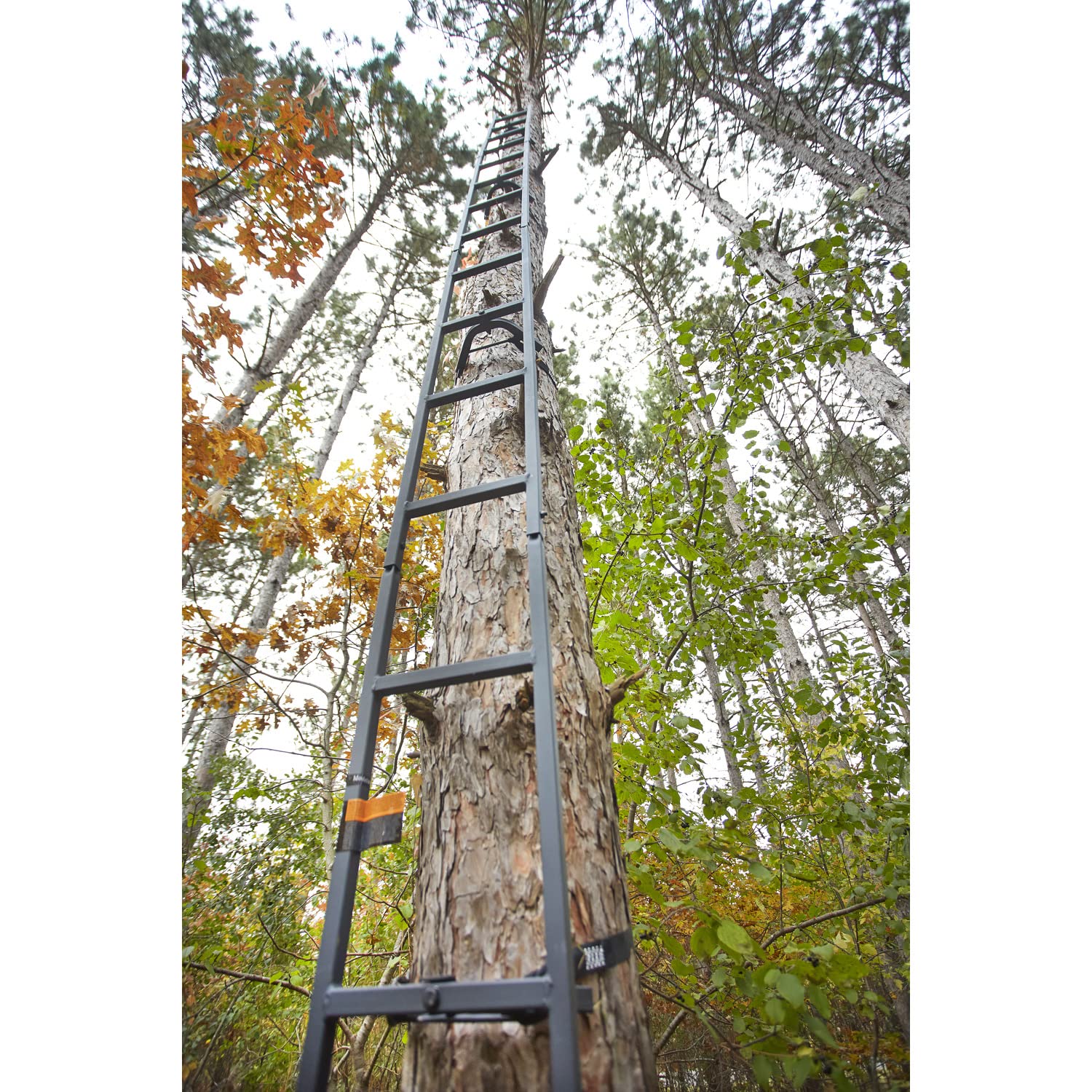 Guide Gear 20' Climbing Ladder for Tree Stands - Lightweight Aluminum Hunting Climbing Equipment for Deer Hunting | Perfect for Tree Stand Access & Outdoor Hunting Adventures