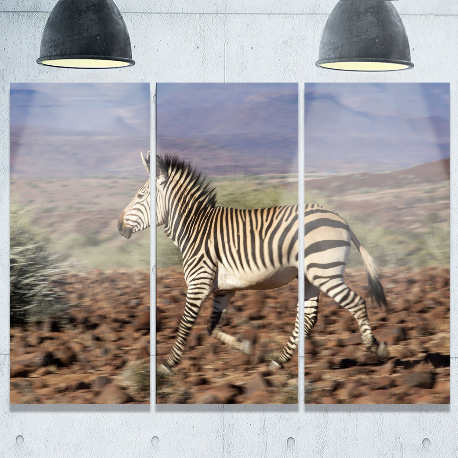 Designart MT8963-3P Zebra in Damaraland Landscape Photography Metal Wall Art - 3 Panel Set (28''H x 36''W x 1''D) - Brown & Blue - Modern Home & Office Decor for Living Room, Bedroom or Office