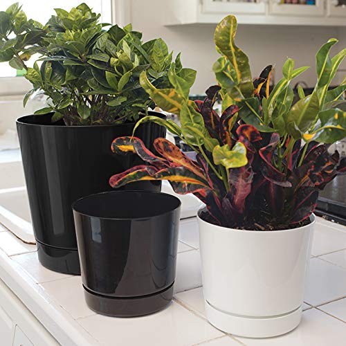 Majestic Full Depth Round Cylinder Pot - 12 Inch Glossy Black Planter for Indoor & Outdoor Plants - Perfect for Home Decor, Garden, Patio, and Office Spaces