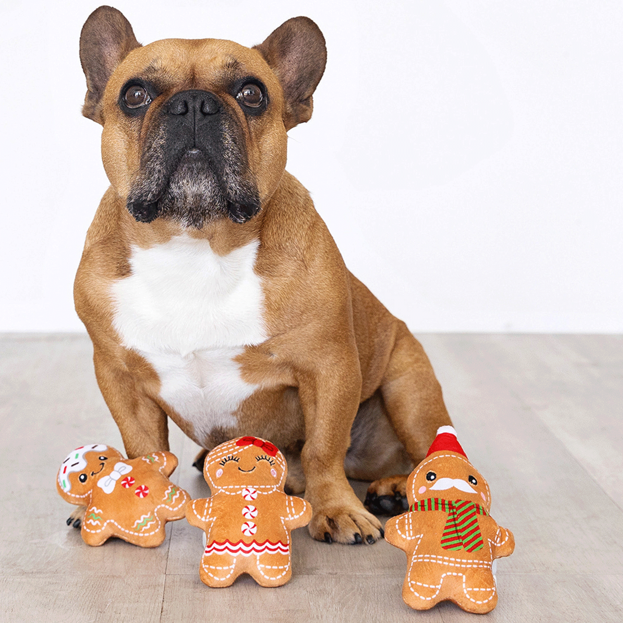 Fringe Gingerbread Dog Toys - Everything Brown Chew Toys for Small & Large Dogs - Perfect for Playtime, Training & Teething Relief