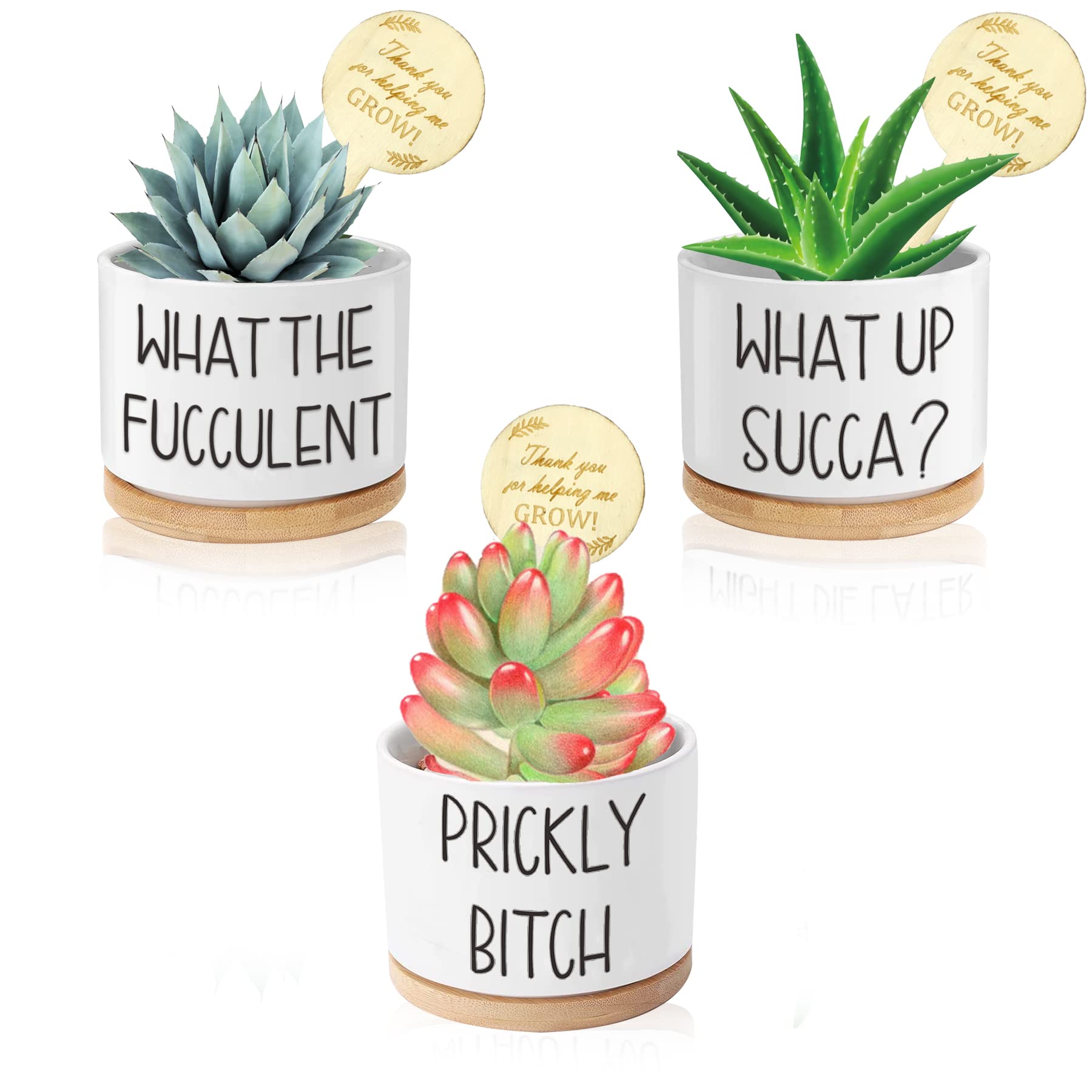 3.15 Inch Ceramic Succulent Pots with Drainage Holes & Saucers - Pack of 3 Small Plant Pots with Funny Plant Labels - Unique Gardening Gifts for Women Birthday, Mother's Day, Housewarming - Perfect for Indoor Plants, Office Desk Decor, and Home Gardening