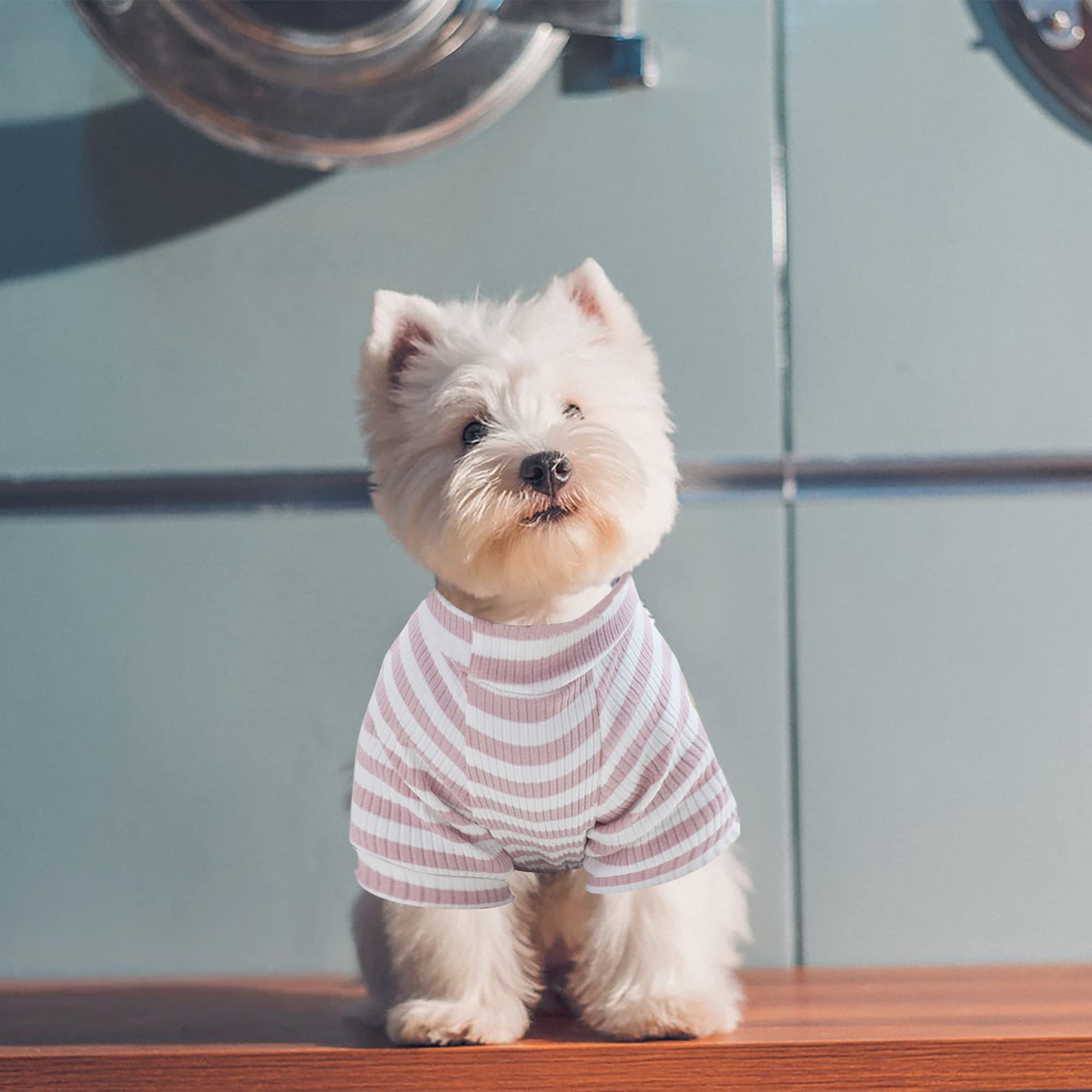 Small Dog Pajamas for Girls - Warm Long Sleeve Onesie Outfit for Puppy Playtime & Sleep