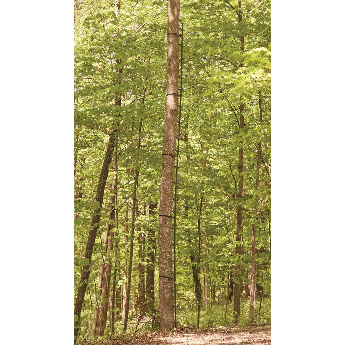 Guide Gear Full Step Climbing Stick Ladder for Tree Stands - 25' Lightweight Aluminum Hunting Ladder for Deer Hunting, Tree Stand Accessories & Outdoor Climbing | Perfect for Hunting, Wildlife Observation & Tree Stand Setup