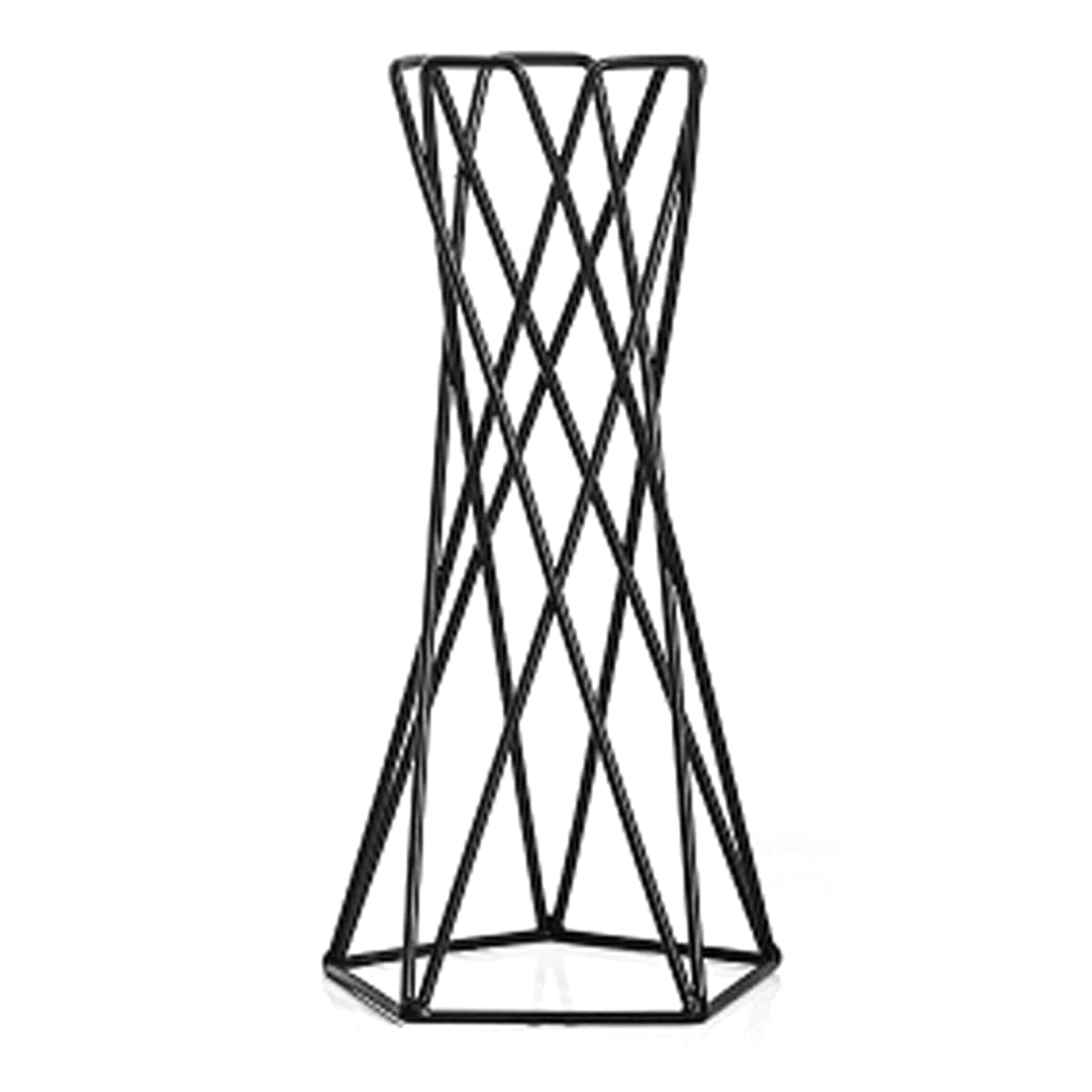 Nordic Air Plant Holder - Geometric Iron Tillandsia Stand with Metal Flower Pot, Black | Modern Home & Office Decor for Succulents, Air Plants & Small Plants