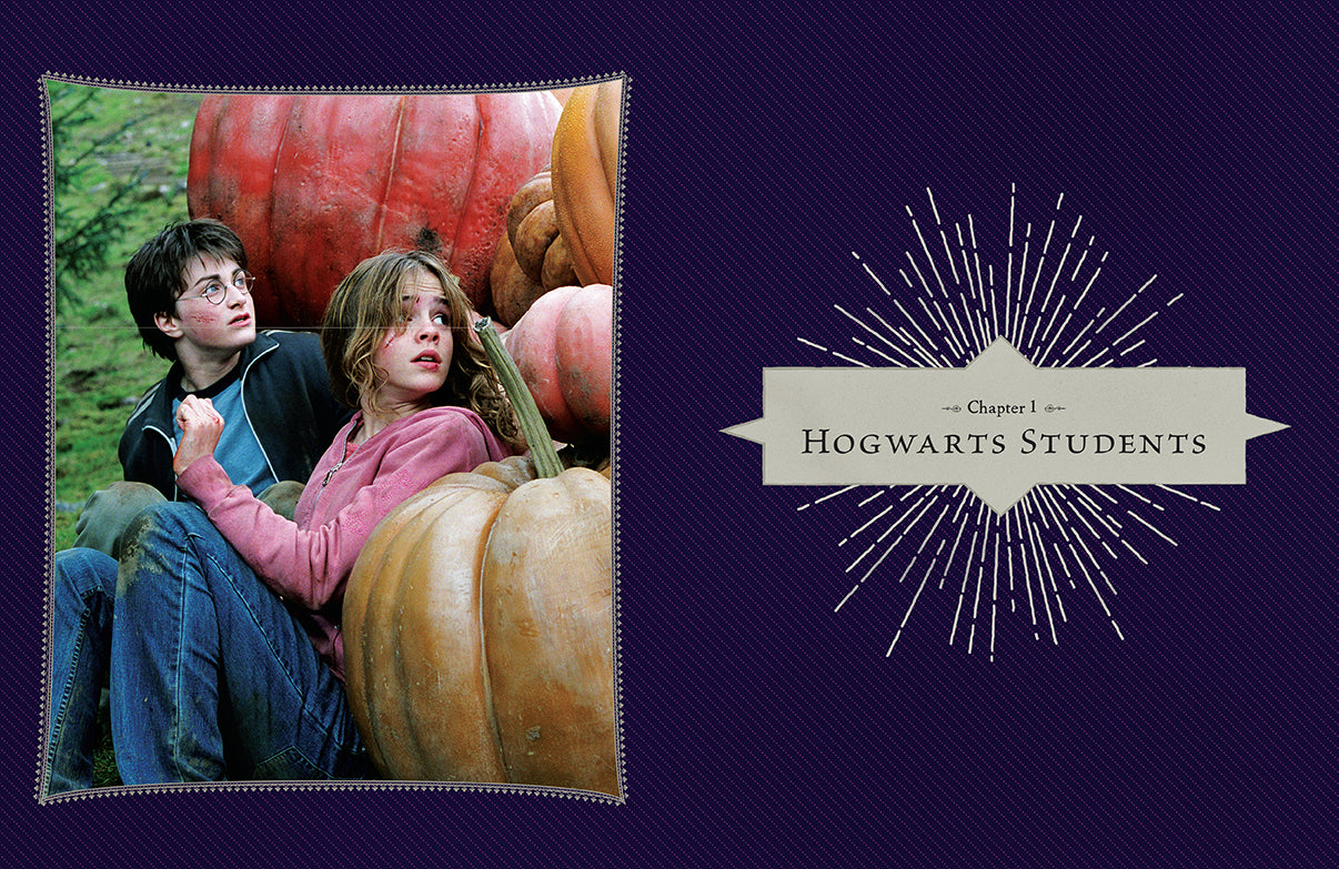 Harry Potter Film Vault Volume 4: Collectible Movie Book - Perfect for Harry Potter Fans & Film Memorabilia Collectors