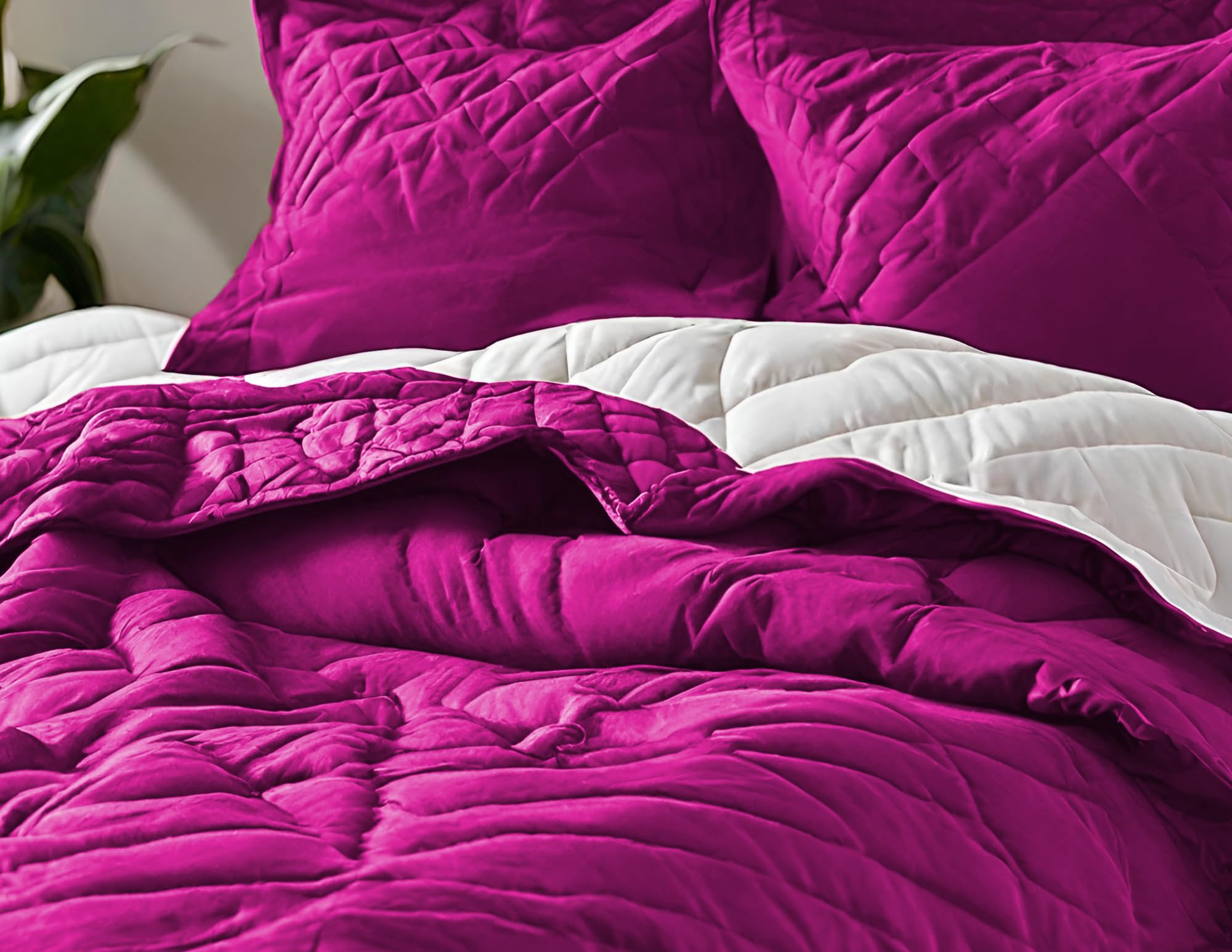 Embossed Lightweight Bed Comforter Set | 3Pcs All Season Down Alternative Reversible Comforter with Pillow Cases | Hypoallergenic Bedding for Master Bedroom, Guest Room & Dorm | Soft Purple Comforter for Year-Round Comfort