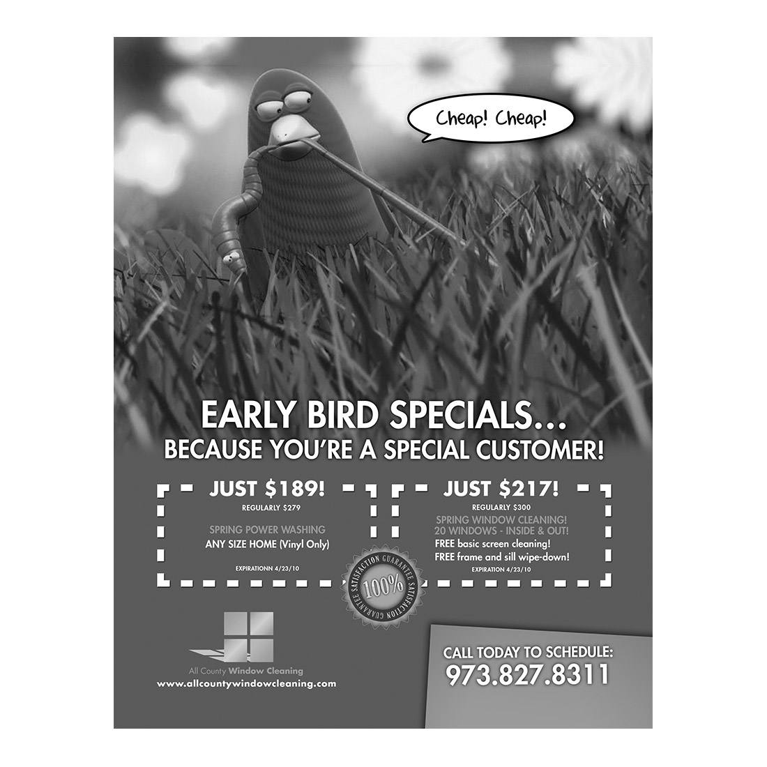 Early Bird Specials Design Suite - Premium Graphic Design Software for Creatives | Perfect for Web, Print & Social Media Projects