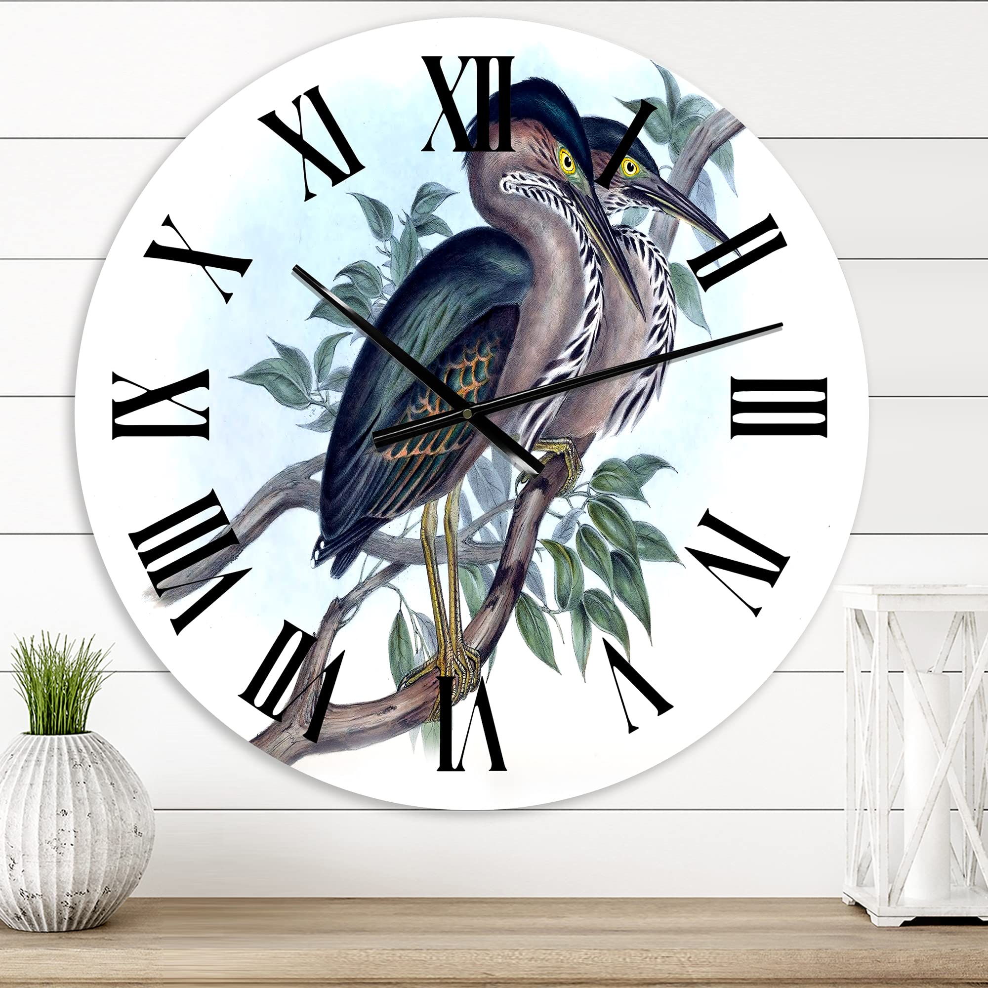 Vintage Australian Birds VII Wall Clock - Large Traditional Kitchen Decor with Nature Landscape Design | Perfect for Home, Office & Living Room Décor