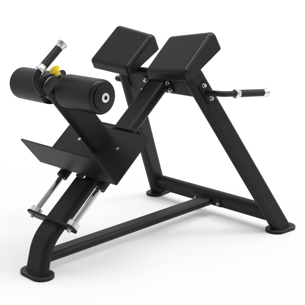 Pegasus 2S Adjustable Roman Chair - Ab Workout Bench for Home Gym, Core Training & Strength Exercises - Perfect for Sit-ups, Leg Raises & Back Extensions