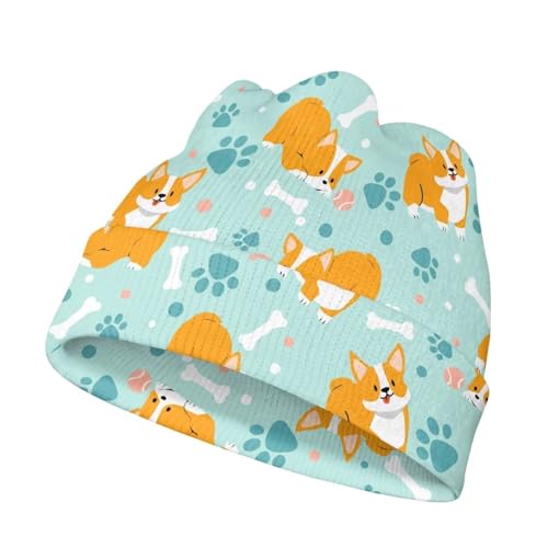 Dog Paws Corgi a