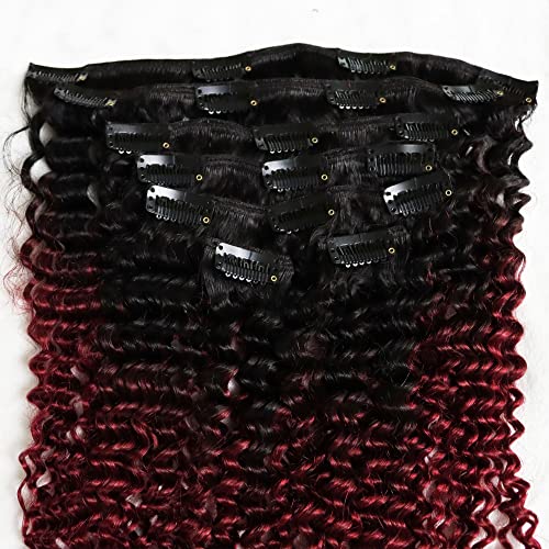 T(1B/Burg) Kinky Curly Clip In Hair