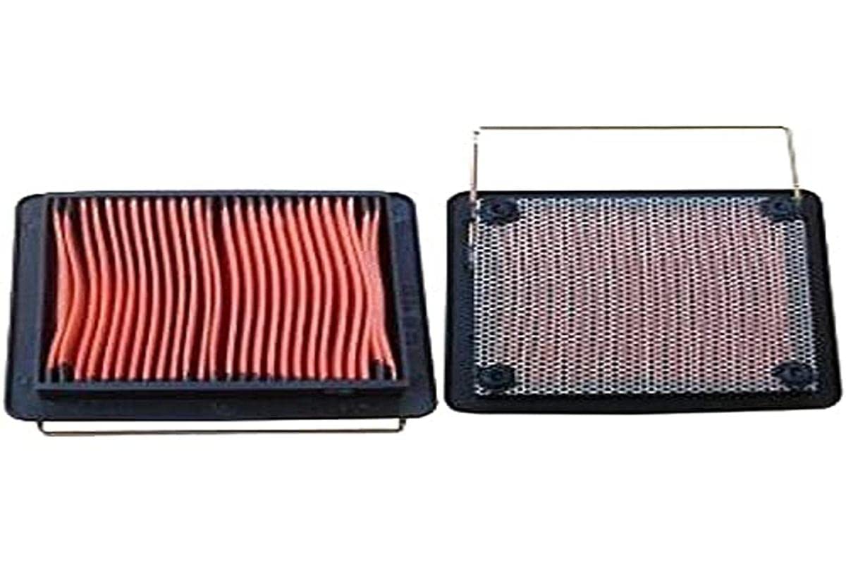 High-Efficiency HEPA Air Filter for Home & Office - Removes Dust, Pollen & Allergens - Perfect for Allergy Sufferers & Clean Air Enthusiasts