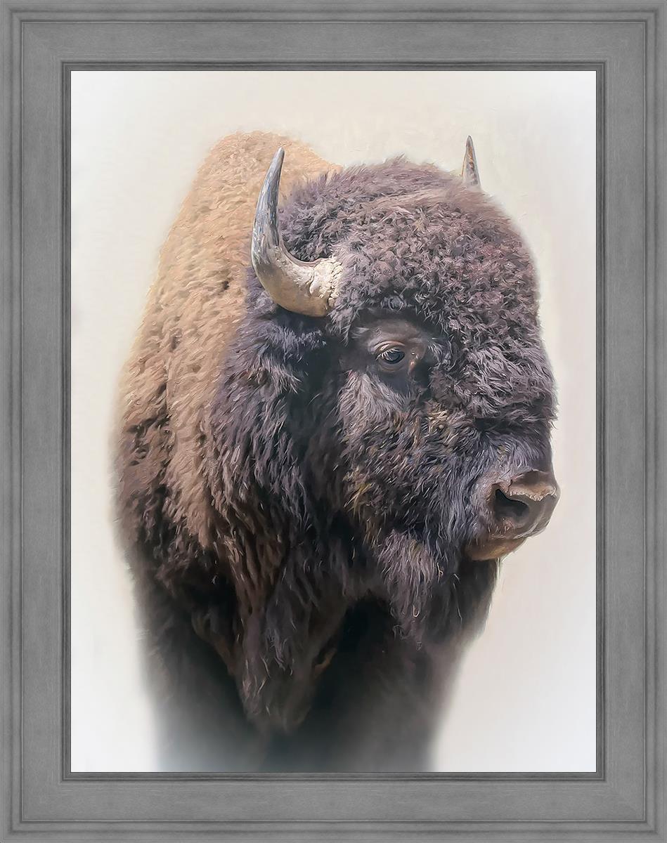Bison By Matthew Grant | Premium Bison Meat & Jerky | High-Protein Snacks for Camping, Hiking & Outdoor Adventures