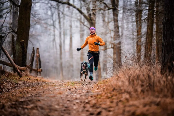 Non Stop Dog Wear: Canix Belt 2.0 - Adjustable Reflective Dog Running Belt for Hands-Free Jogging & Hiking - Perfect for Active Dogs & Outdoor Adventures