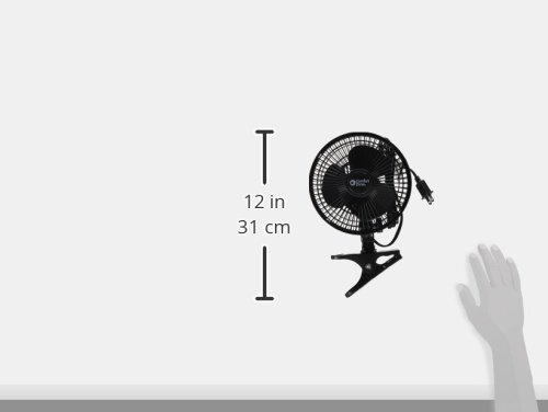 6 Inch Portable Clip on Fan - Adjustable Tilt, Quiet 2-Speed Mini Desk Fan for Stroller, Bedside & Office | Black | Perfect for Nursery, Dorm Room & Home Office Cooling