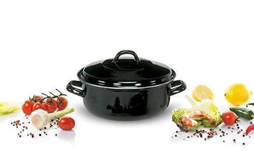 Karl Kruger Nostalgia Series 28cm Roasting Pan - Premium Stainless Steel Cookware for Oven & Stovetop - Perfect for Roasting Chicken, Turkey, Vegetables & Holiday Meals