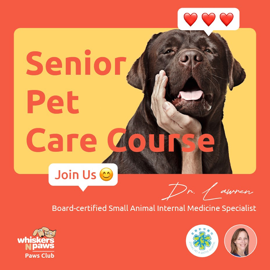 Senior Pet Care Course by Dr. Lawren - Expert Guide for Aging Dogs & Cats | Learn Nutrition, Health & Comfort Tips for Older Pets at Home