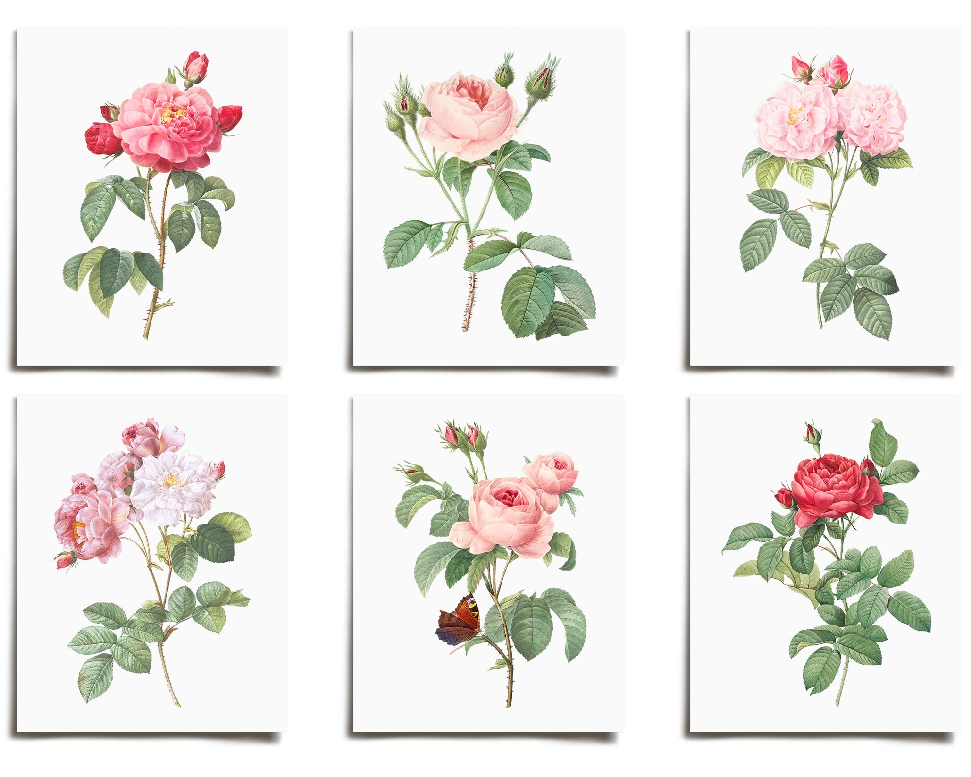 Vintage Red Pink White Rose Floral Prints (6) | Modern Wall Art Victorian Illustration UNFRAMED | Antique Boho Abstract Decor Set | Large Poster for Living Room, Bedroom, Bathroom, Office & Kitchen | Perfect for Boys, Girls, Teens, Kids & Baby Rooms | AC-1037-8x8 | Ideal for Home Decor, Gifts & Interior Design Projects