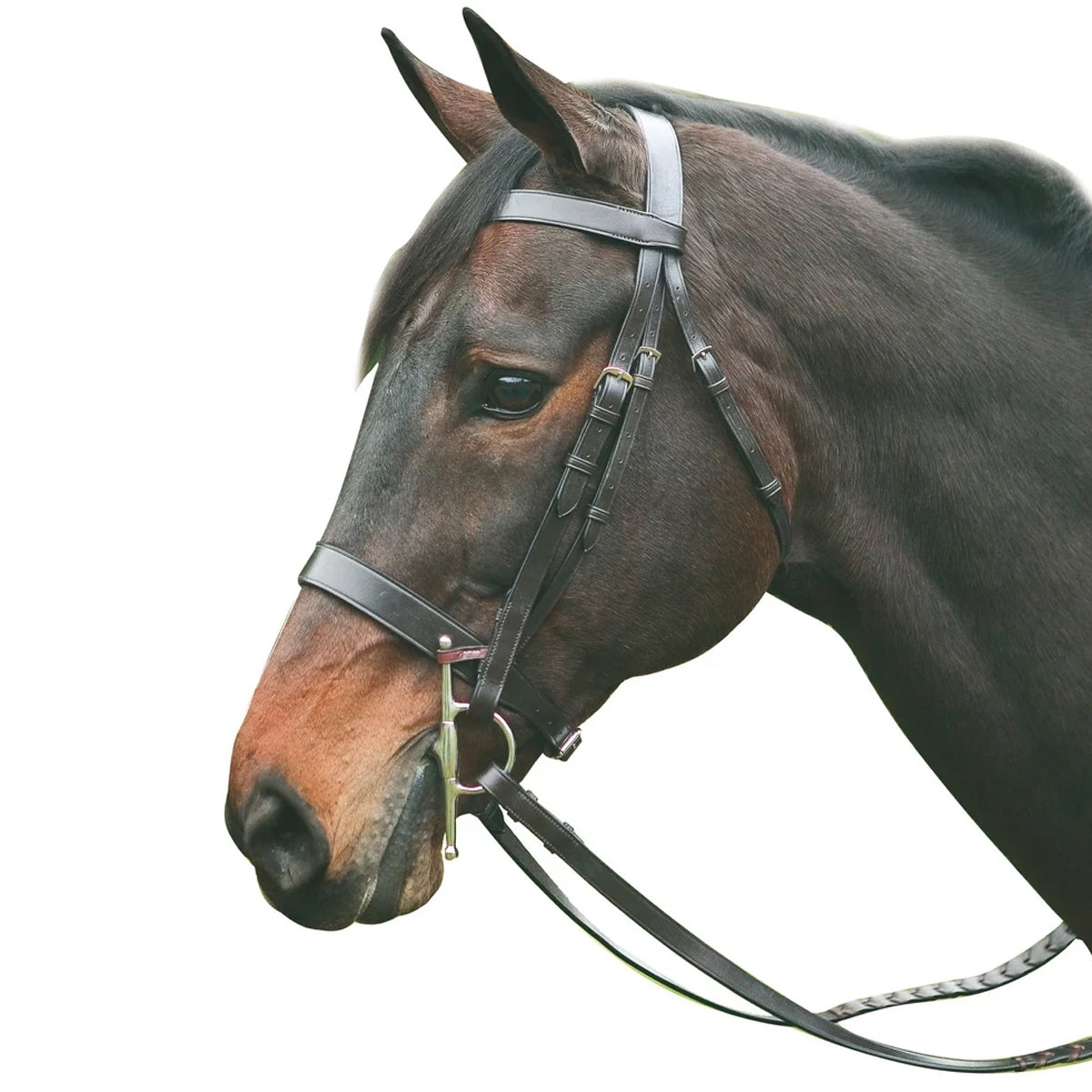 Premium HDR Advantage Hunt Bridle for Equestrian Riding - Durable & Comfortable Horse Bridle for Trail Riding, Show Jumping & Dressage