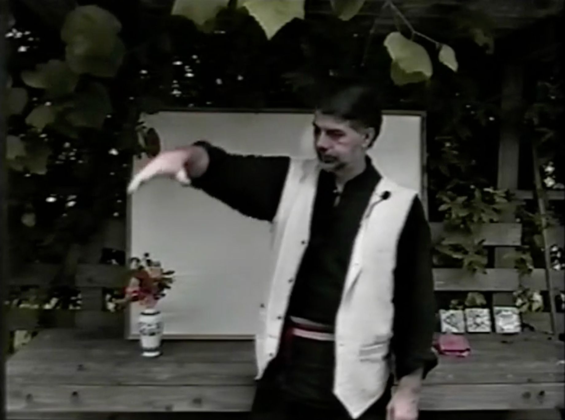 Bagua: The Art of Change DVD 1 by Ted Mancuso (Used) - Learn Ancient Chinese Martial Arts for Self-Defense & Meditation at Home
