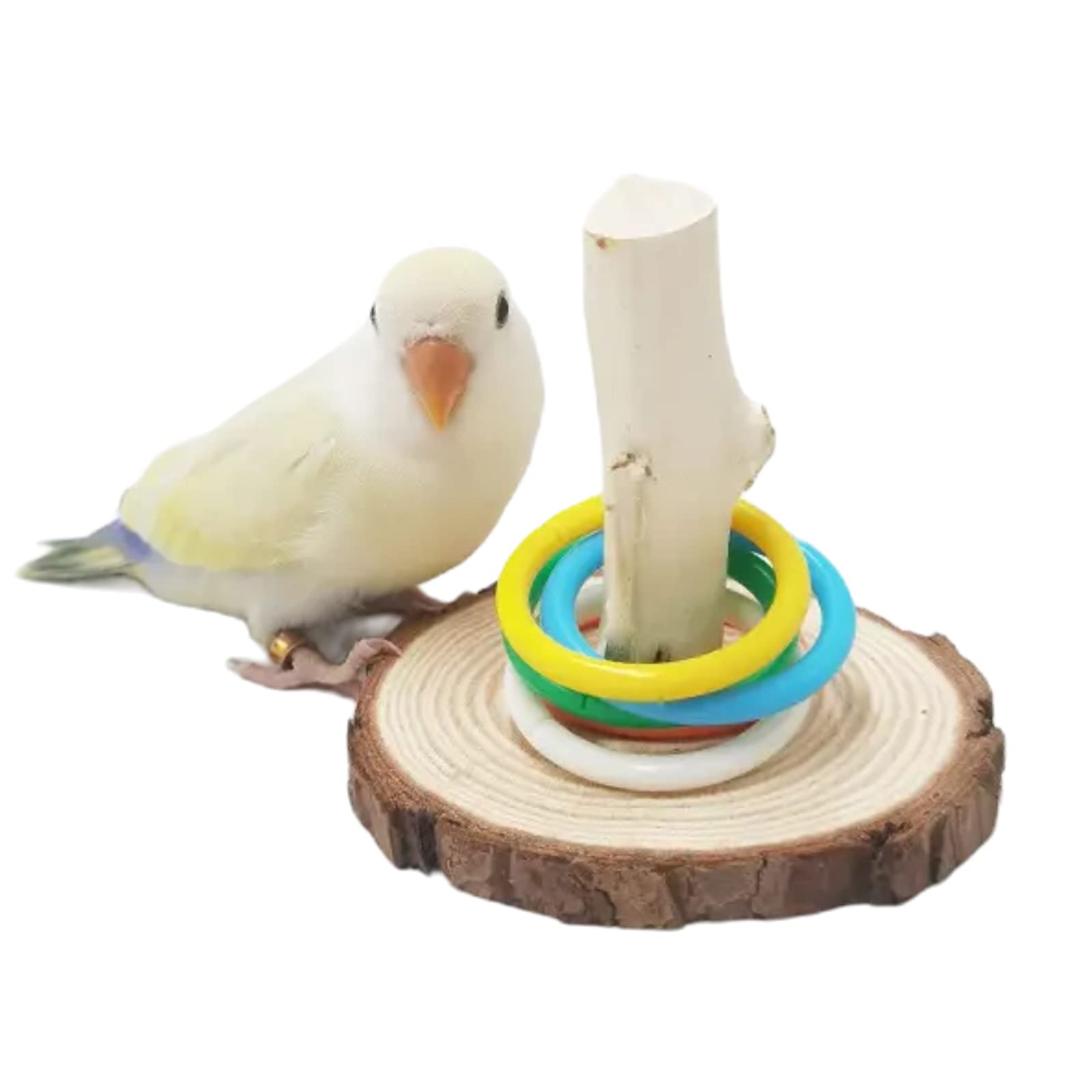 Parrot Trick Training Toys - Bird Tabletop Toys with 5 Color Rings - Stacking & Training Toy Set for Small & Medium Birds Like Parrots, Budgies, Cockatiels & Parakeets - Perfect for Mental Stimulation & Bonding Activities