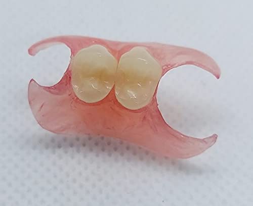 Nesbit Flexible Partial Denture - Dark Upper Arch with 2 Teeth for Comfortable & Natural-Looking Smile | Ideal for Missing Teeth Replacement & Everyday Wear
