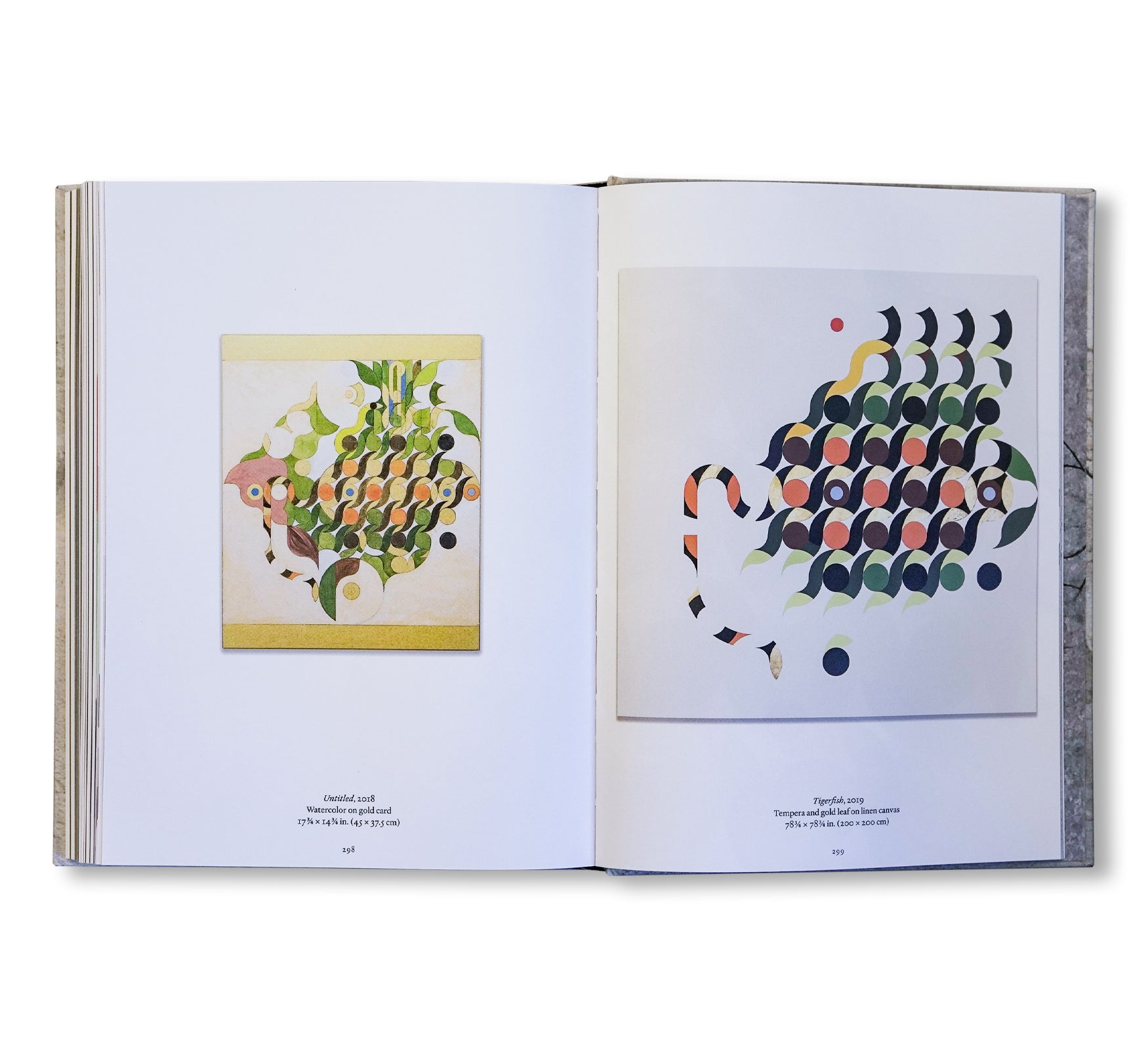 AN ISLAND IS A CIRCLE by Gabriel Orozco - Contemporary Art Book for Collectors & Enthusiasts - Perfect for Home Decor & Art Inspiration
