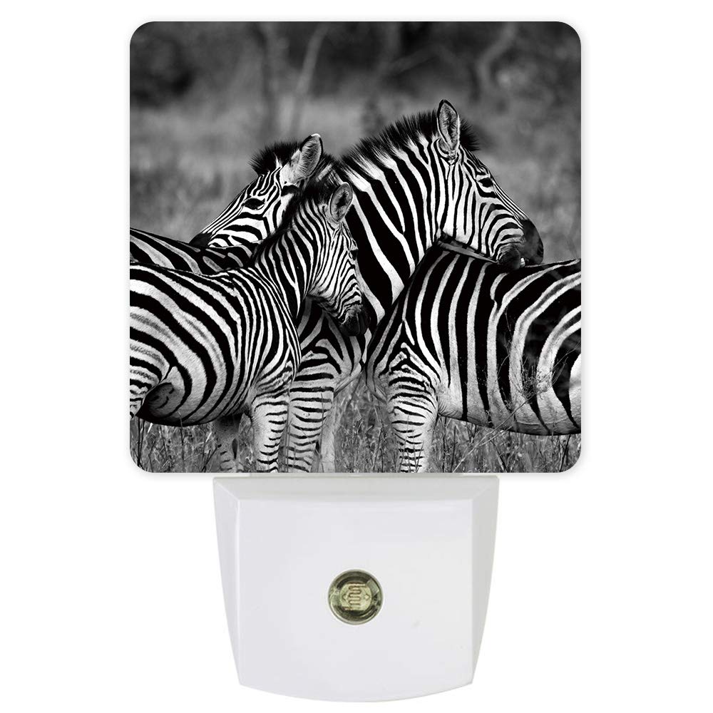 Zebra Horse African Grey Pattern LED Night Light for Kids - Dusk-to-Dawn Sensor, Plug-in Wall Lamp for Nursery, Bedroom, Bathroom, Hallway & Stairs | Perfect for Bedtime, Nighttime Safety & Home Decor