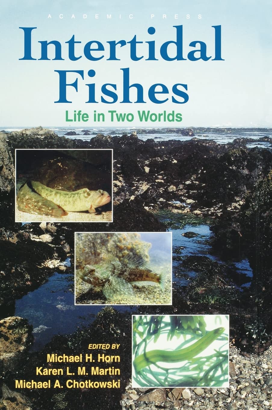 Intertidal Fishes: Marine Life Between Land and Sea | Perfect for Aquarium Enthusiasts & Marine Biology Studies