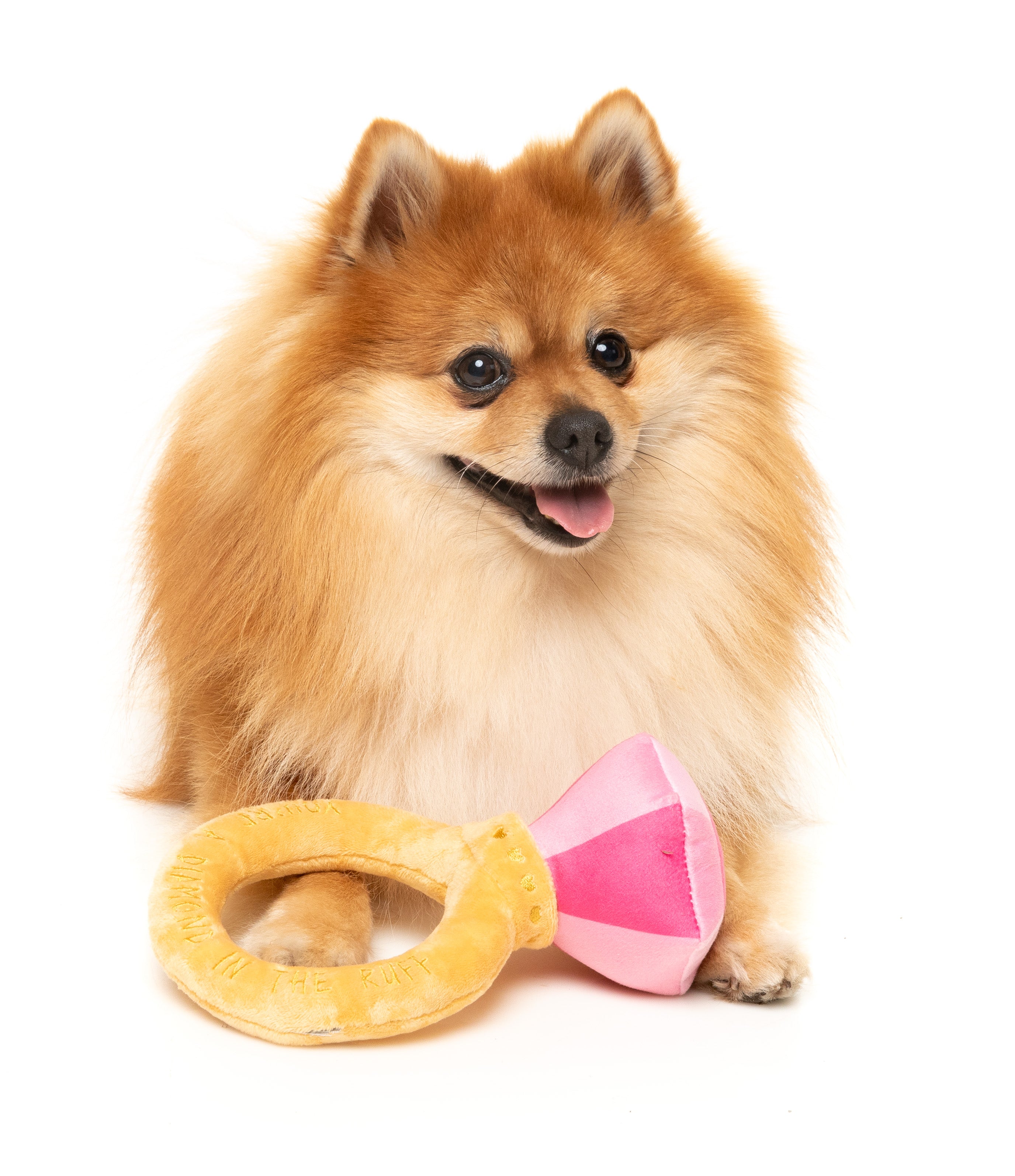 Fuzzyard Valentine's Day Plush Dog Toy - Diamond in The Ruff Ring | Cute & Durable Chew Toy for Small & Medium Dogs | Perfect for Playtime & Gifting