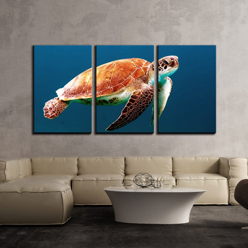 Wall26 - 3 Piece Canvas Wall Art Set - Sea Turtle Swimming Under The Ocean - Modern Framed Home Decor - Stretched & Ready to Hang - 24x36 Inches (3 Panels) - Perfect for Living Room, Bedroom or Office Decor
