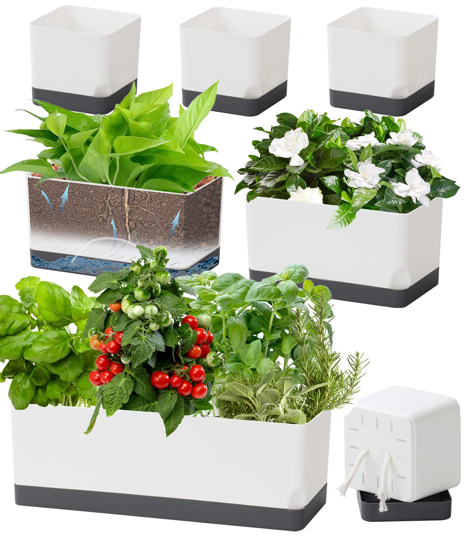 7 Pack Self Watering Plant Pots for Indoor Plants - 4, 8 & 17 Inch Plastic Window Box Planters with Drainage & Saucer - Perfect for Herbs, Flowers & Windowsill Gardening
