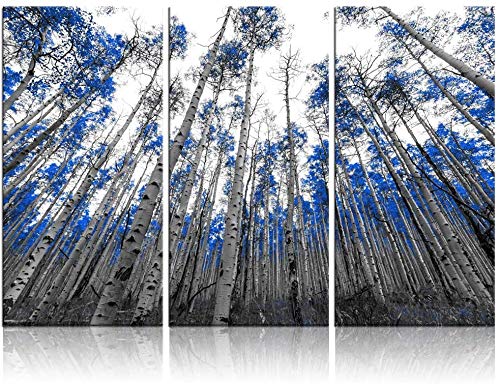 Biuteawal - Blue White Birch Forest Canvas Painting Wall Art, Nature Landscape Picture for Modern Home, Office, Hallway, Bedroom Decor - Ready to Hang - Perfect for Living Room Accent Wall & Spa Relaxation Areas