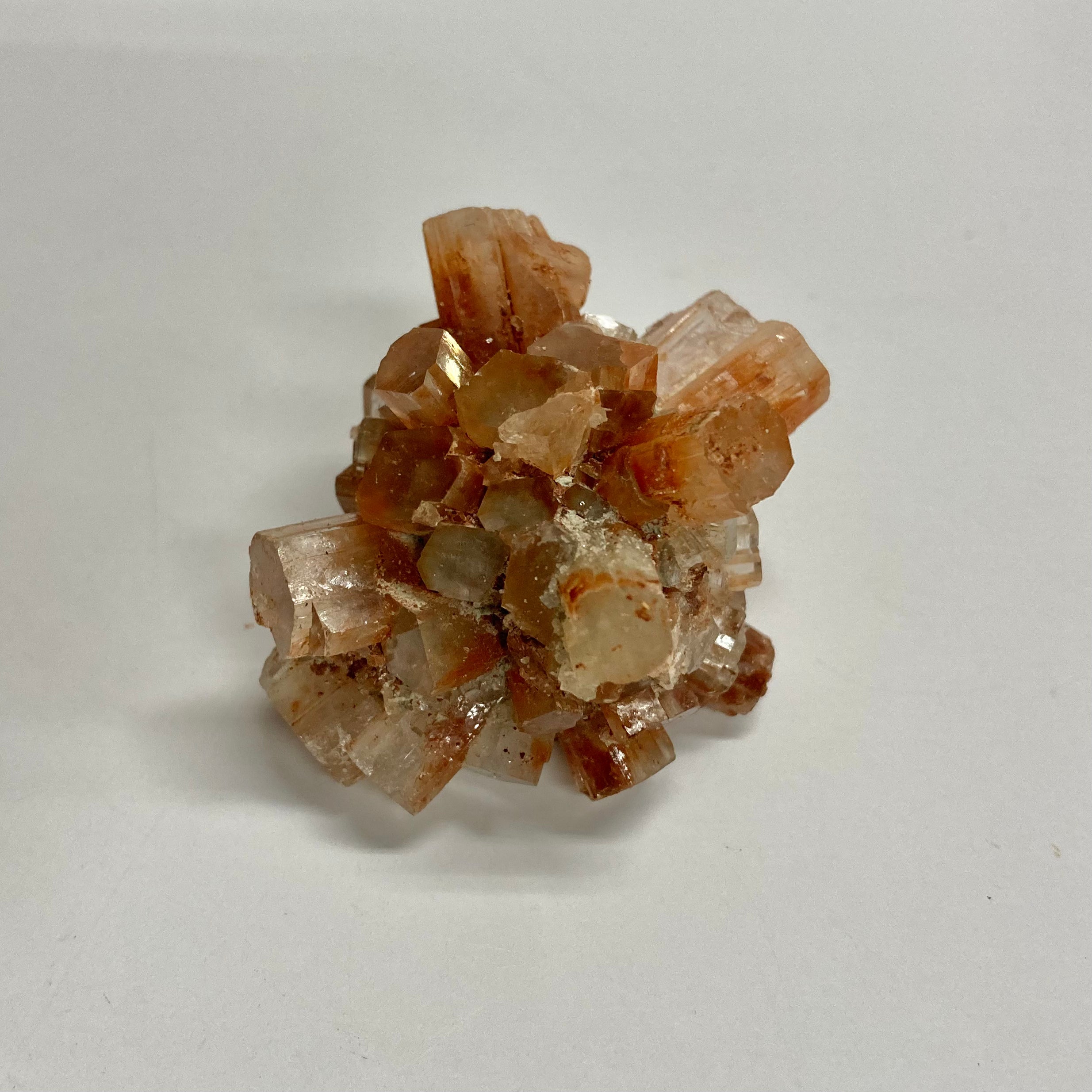 Premium Aragonite Sand - Natural Calcium Carbonate for Aquariums, Reef Tanks & Marine Ecosystems | Ideal for Water Filtration, pH Balancing & Coral Growth