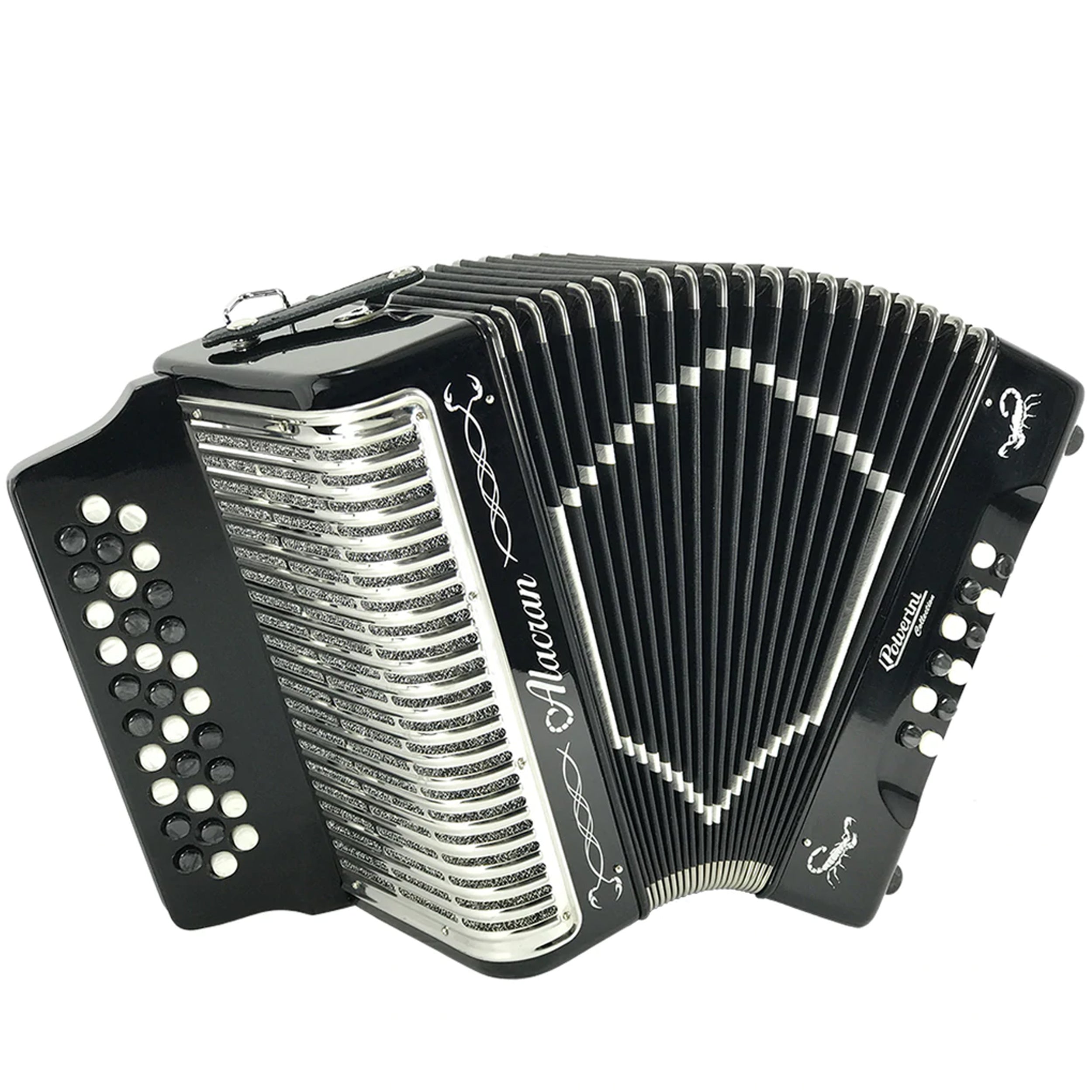 Professional Alacran 31 Button 12 Bass Piano Accordion with Straps & Carrying Case - Black | Perfect for Beginners, Performances & Music Lessons