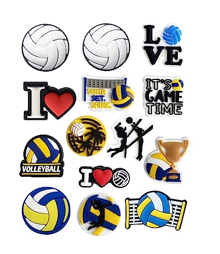 volleyball 14 pcs