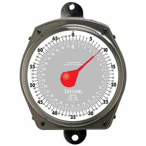 Taylor 3470 70 lb. Digital Hanging Scale - Heavy Duty Industrial Utility Scale for Shipping, Fishing, Hunting, and Warehouse Use
