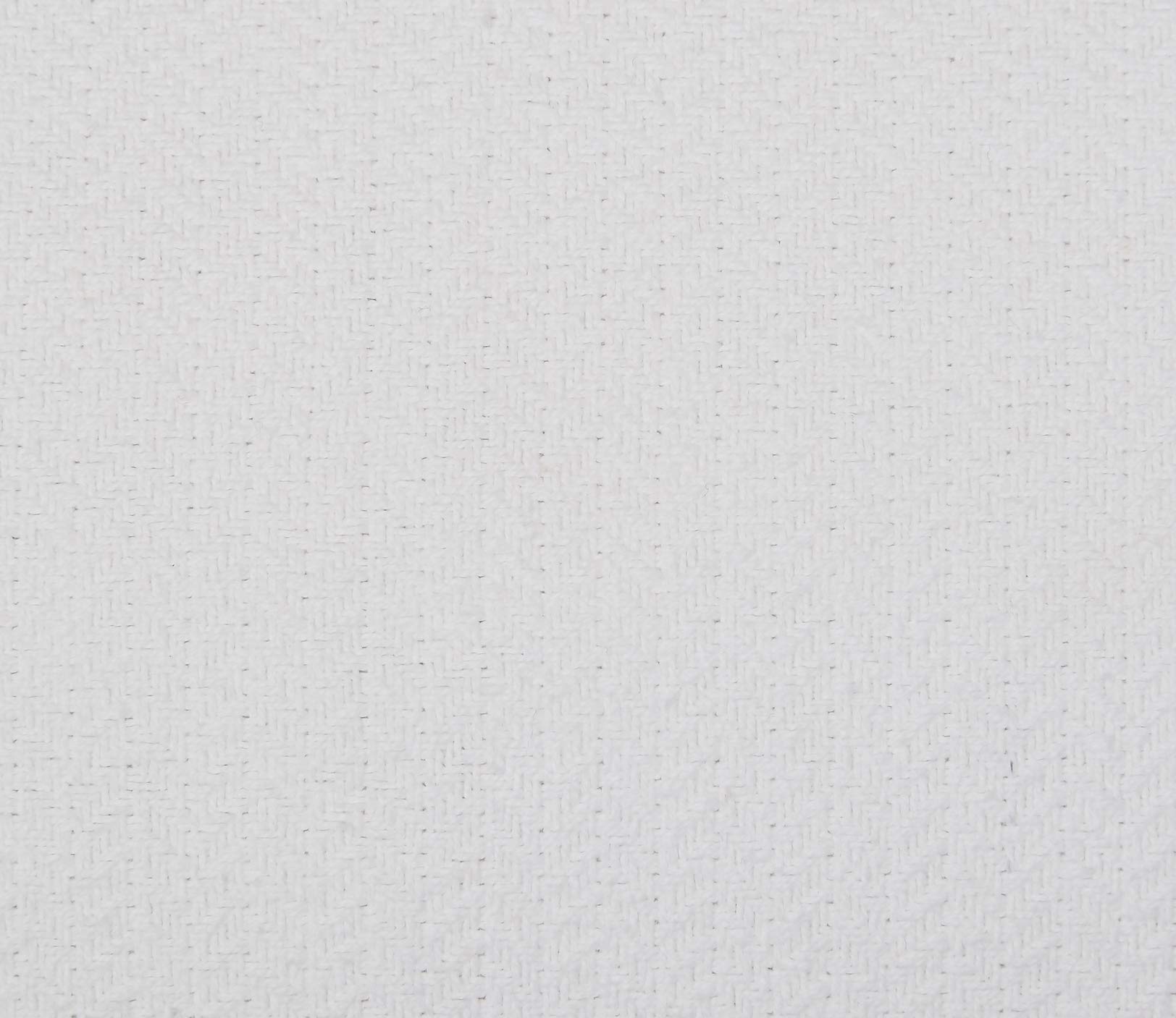 Carol & Frank Monroe White Queen Blanket - Soft & Cozy Full/Queen Size Bed Blanket for Winter Warmth - Perfect for Bedroom, Living Room, and Gift Giving
