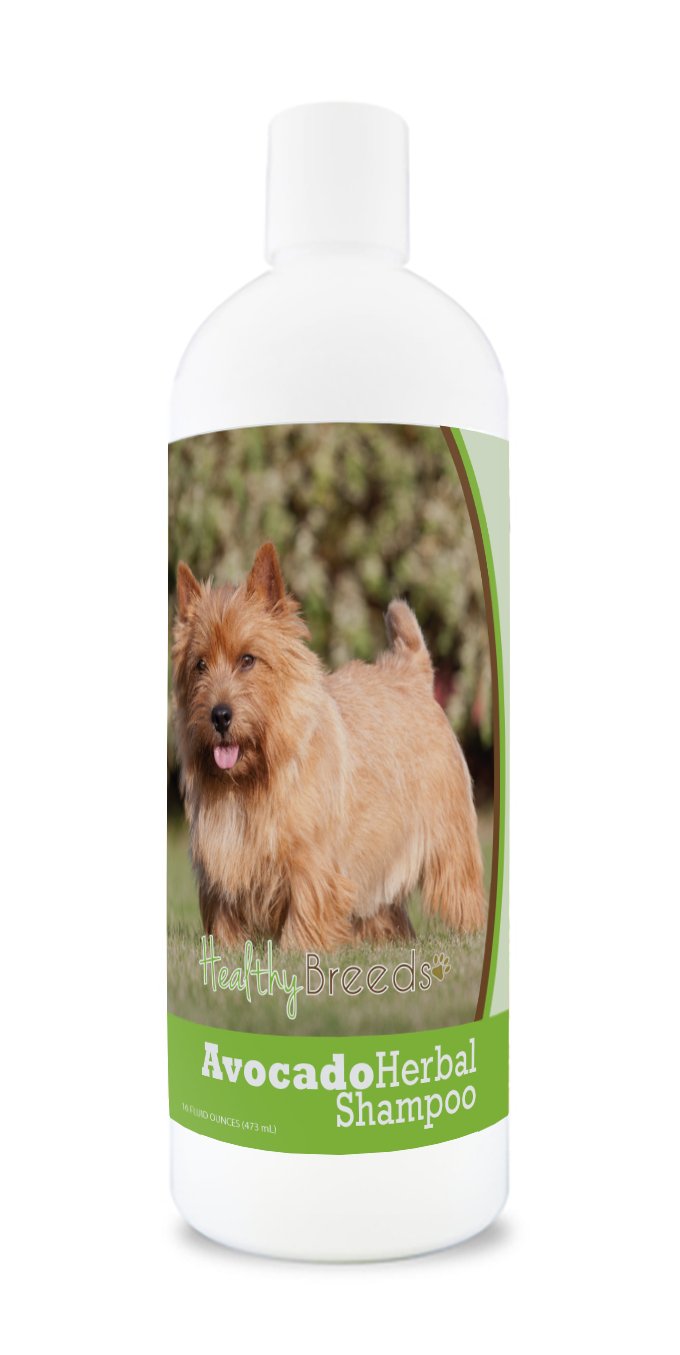 Healthy Breeds Norwich Terrier Avocado & Herbal Dog Shampoo - 16 oz Natural Formula for Sensitive Skin - Gentle Cleansing & Moisturizing for Bath Time & Grooming Sessions
