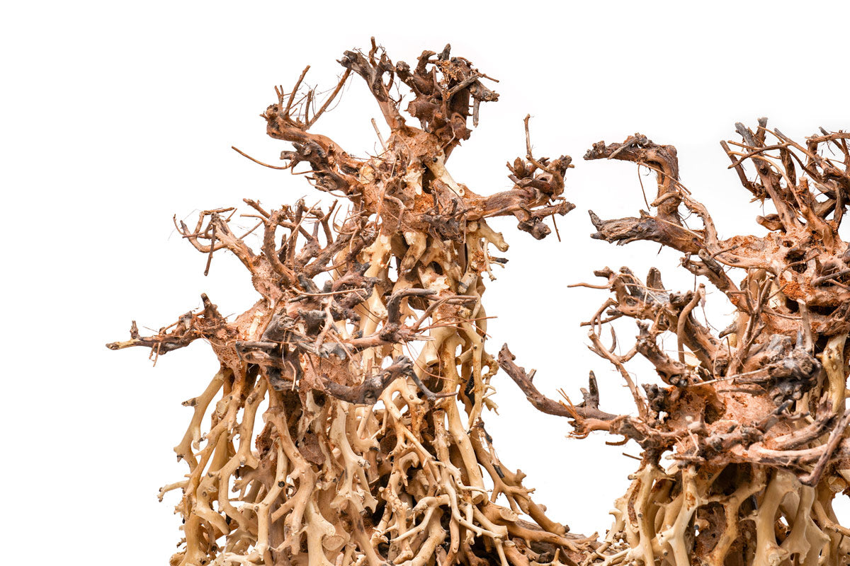 UNS Bonsai 003 - Premium Aquarium Bonsai Tree for Fish Tank Decoration | Perfect for Aquascaping, Shrimp Tanks & Natural Underwater Landscapes