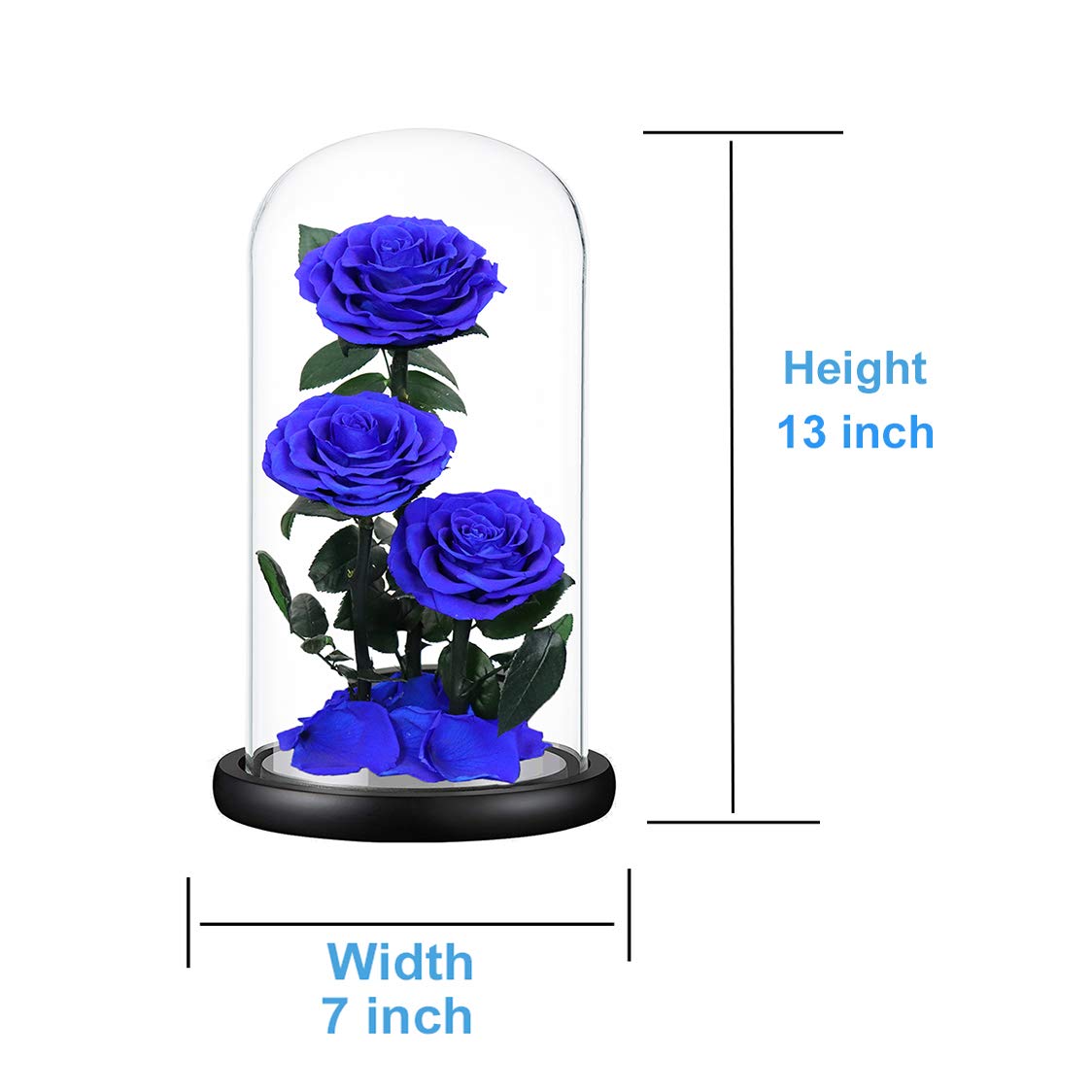 Handmade Preserved Real Blue Rose in Glass Dome - 13 Inch Never Withered Rose Gift for Women | Birthday, Anniversary, Home Decor & Romantic Gift Idea