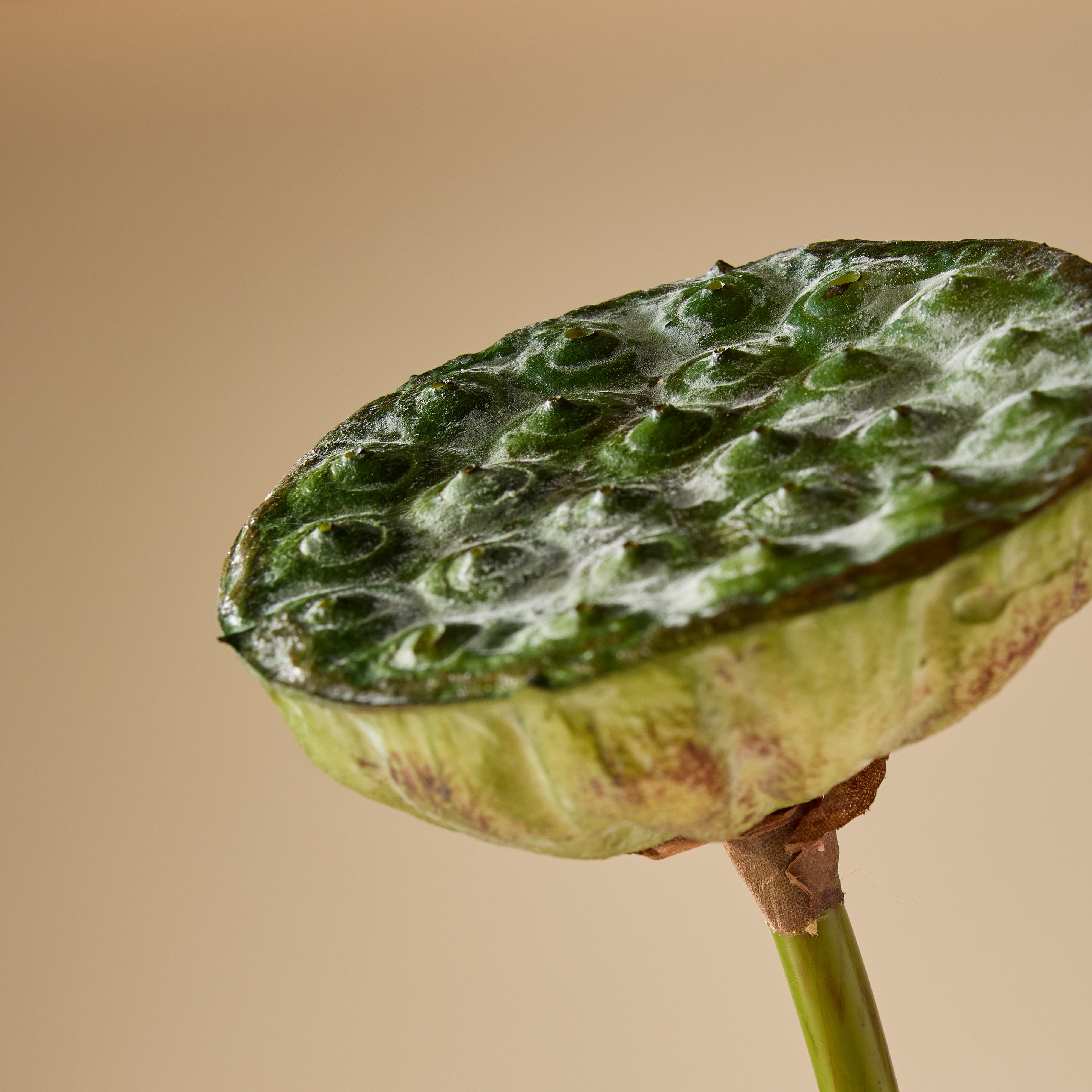 Artificial Lotus Bud Stem - 30 Inches Green Silk Flower for Home Decor, Wedding Centerpieces, and Floral Arrangements