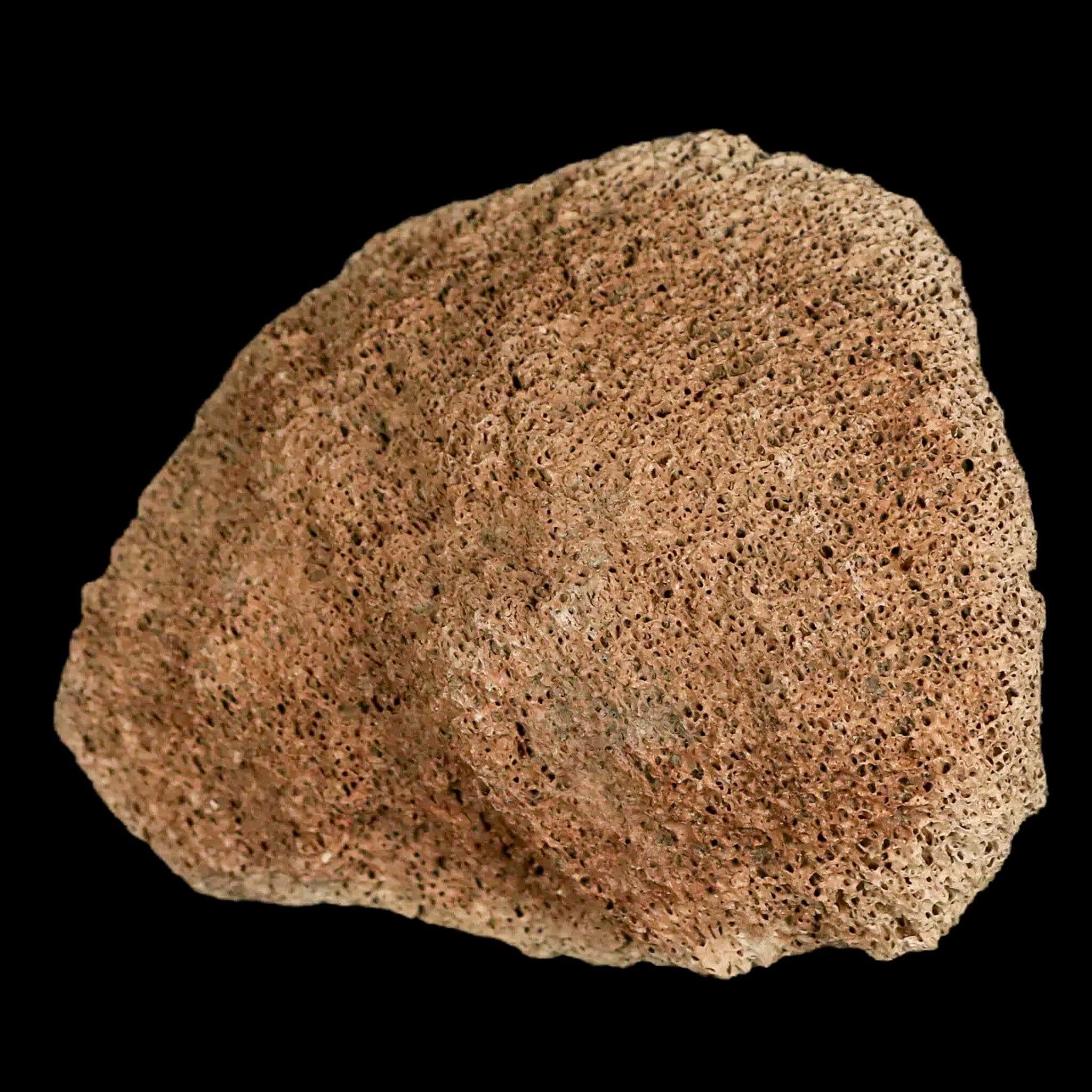 2.8