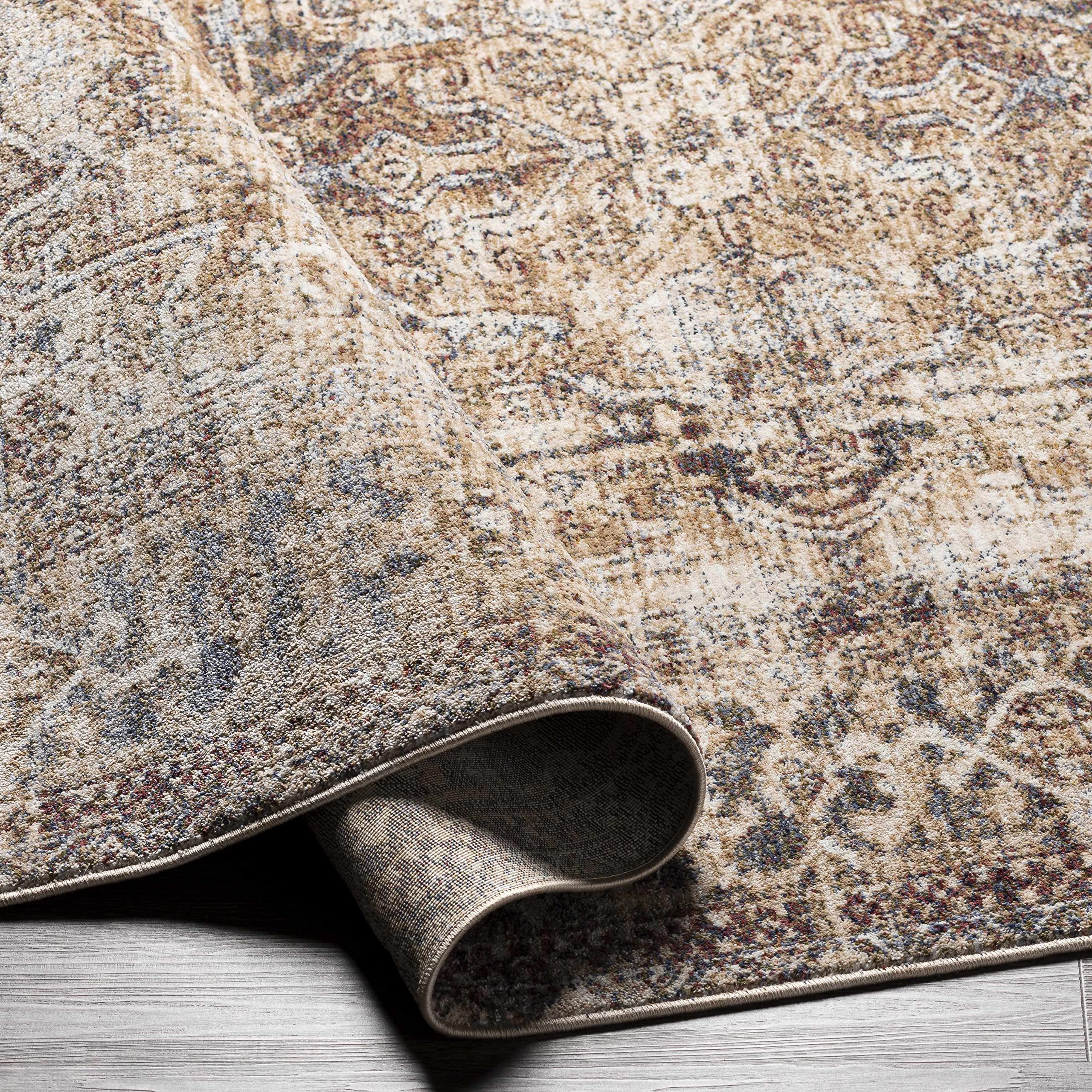 Hauteloom Onley Traditional Area Rug 2' x 3'3